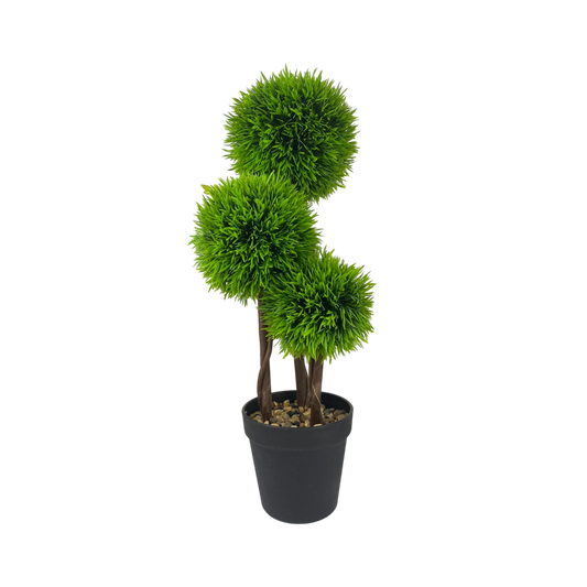 Trio Topiary Plant