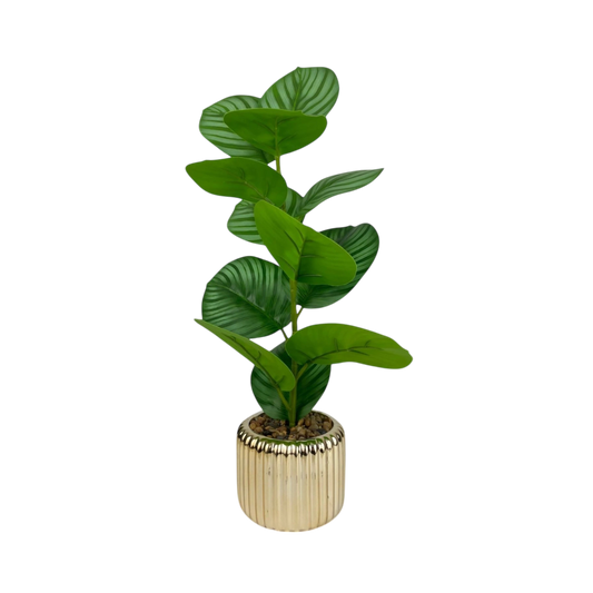 Luxe Green Leaf Potted Plant