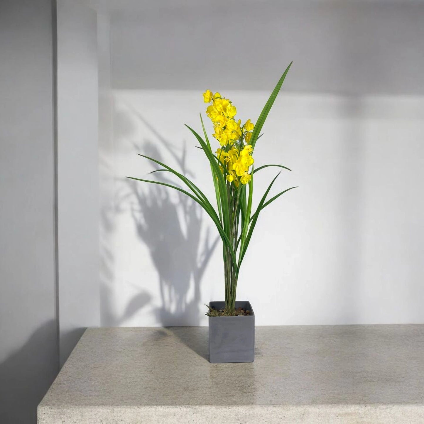 Golden Orchid Grass