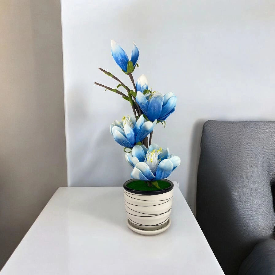 Blue lily Blossom