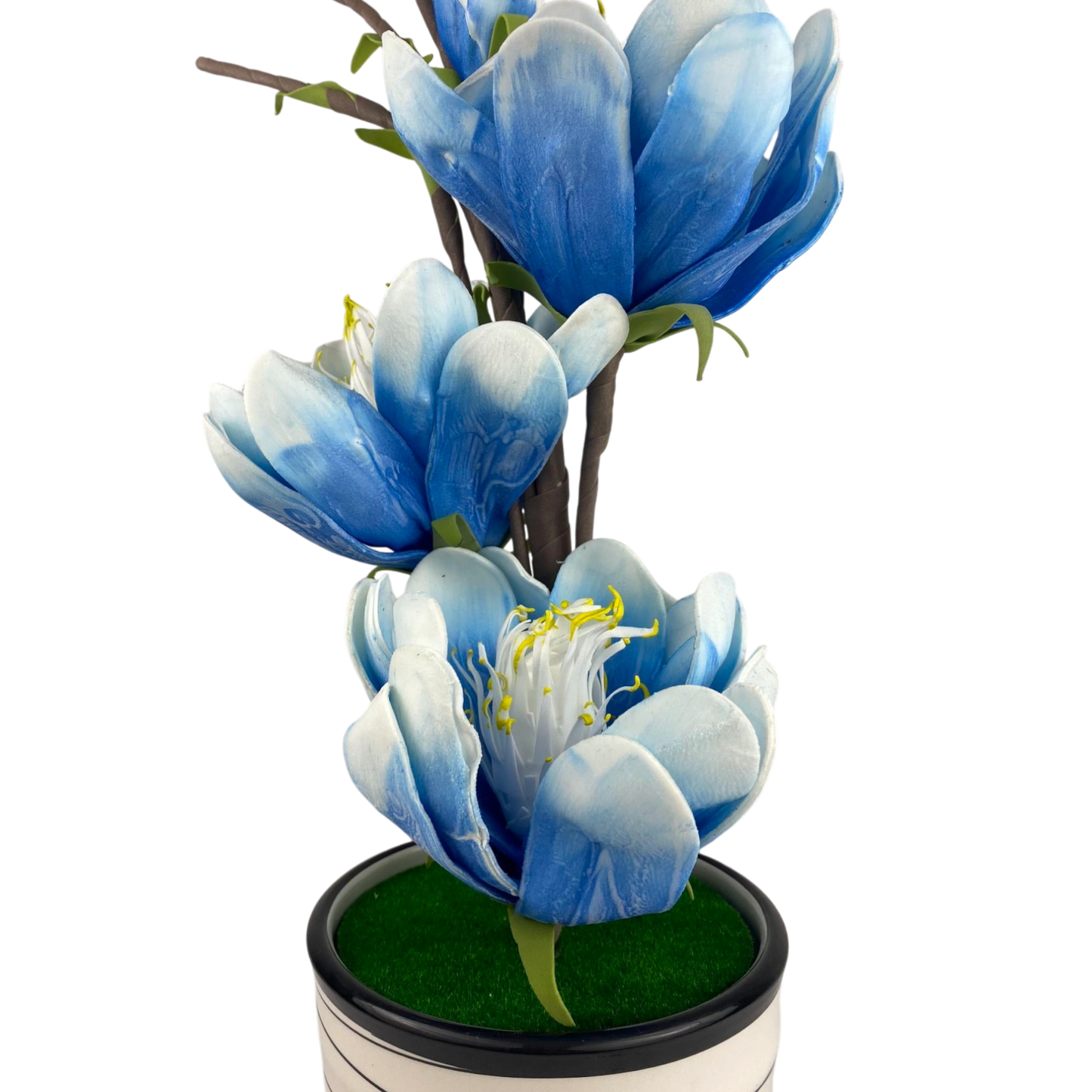 Blue lily Blossom