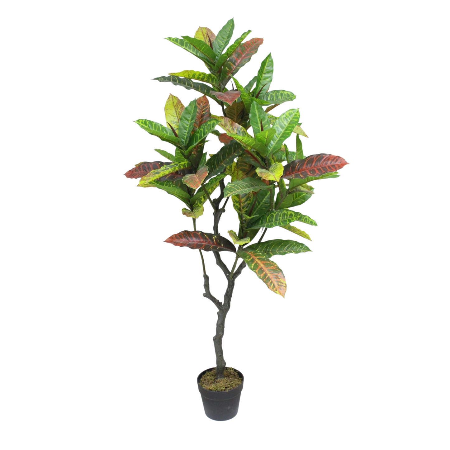 Artificial Croton Tree in Black pot 1.25m