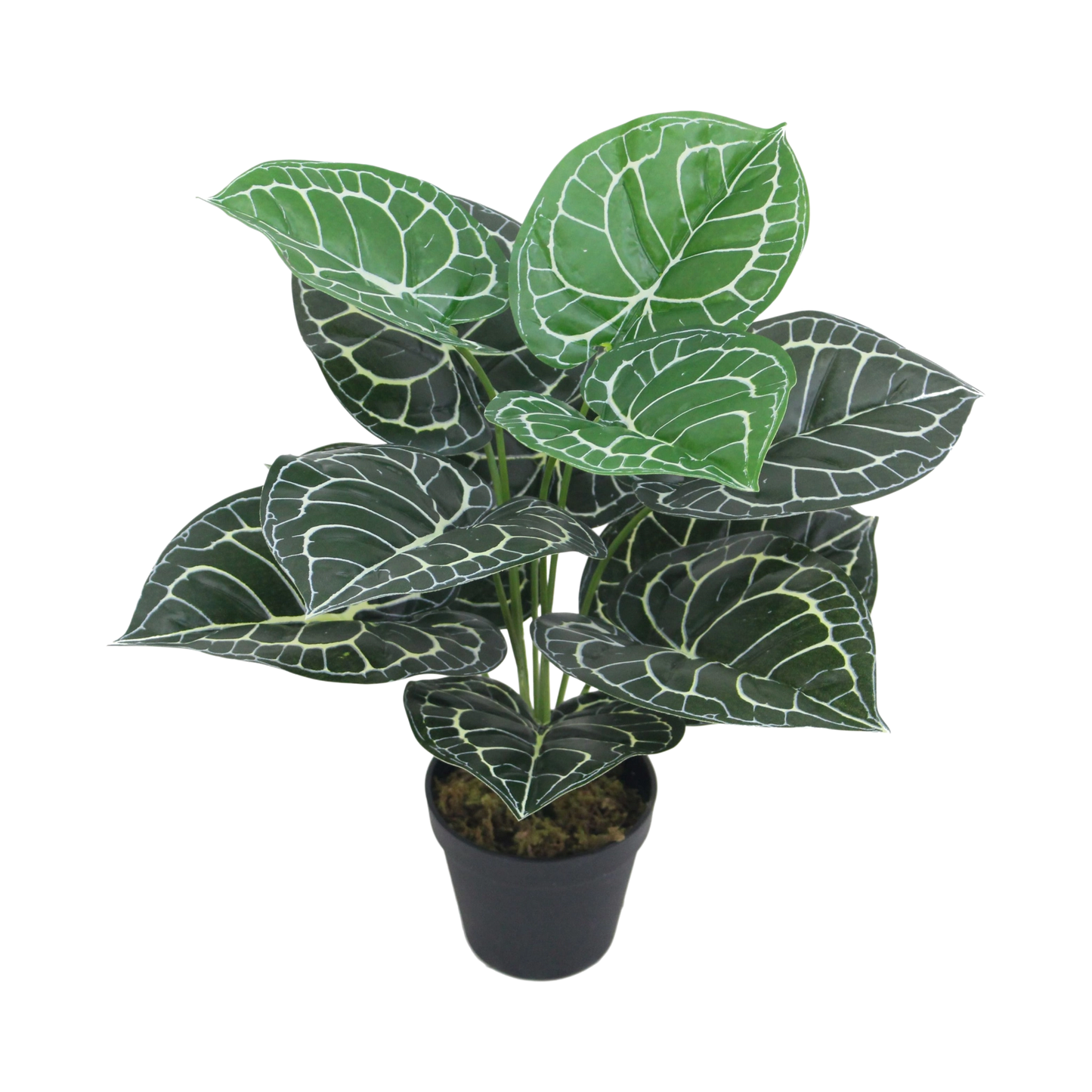 Artificial Anthurium Plant in Black Pot