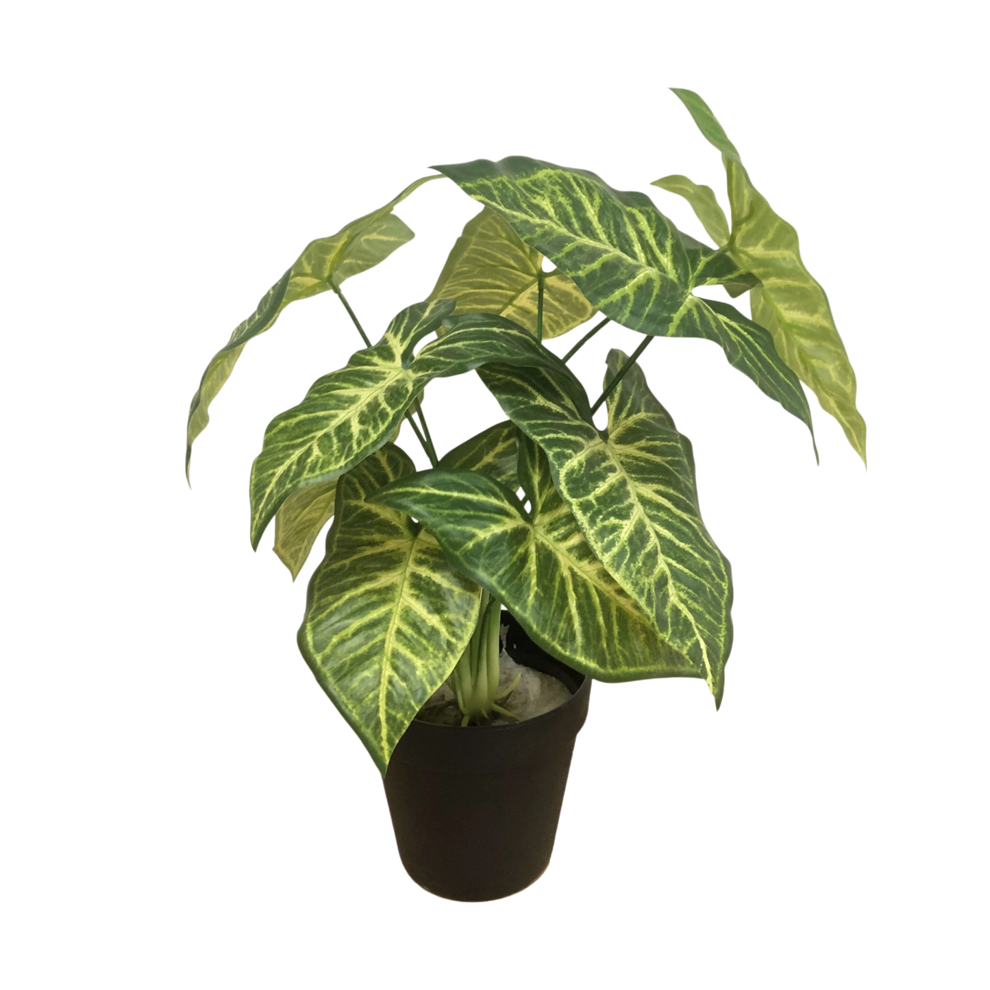 Artificial Syngonium Plant in Black Pot