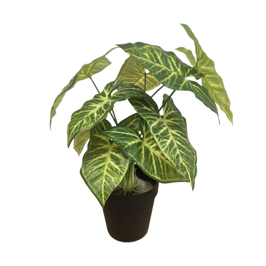 Artificial Syngonium Plant in Black Pot