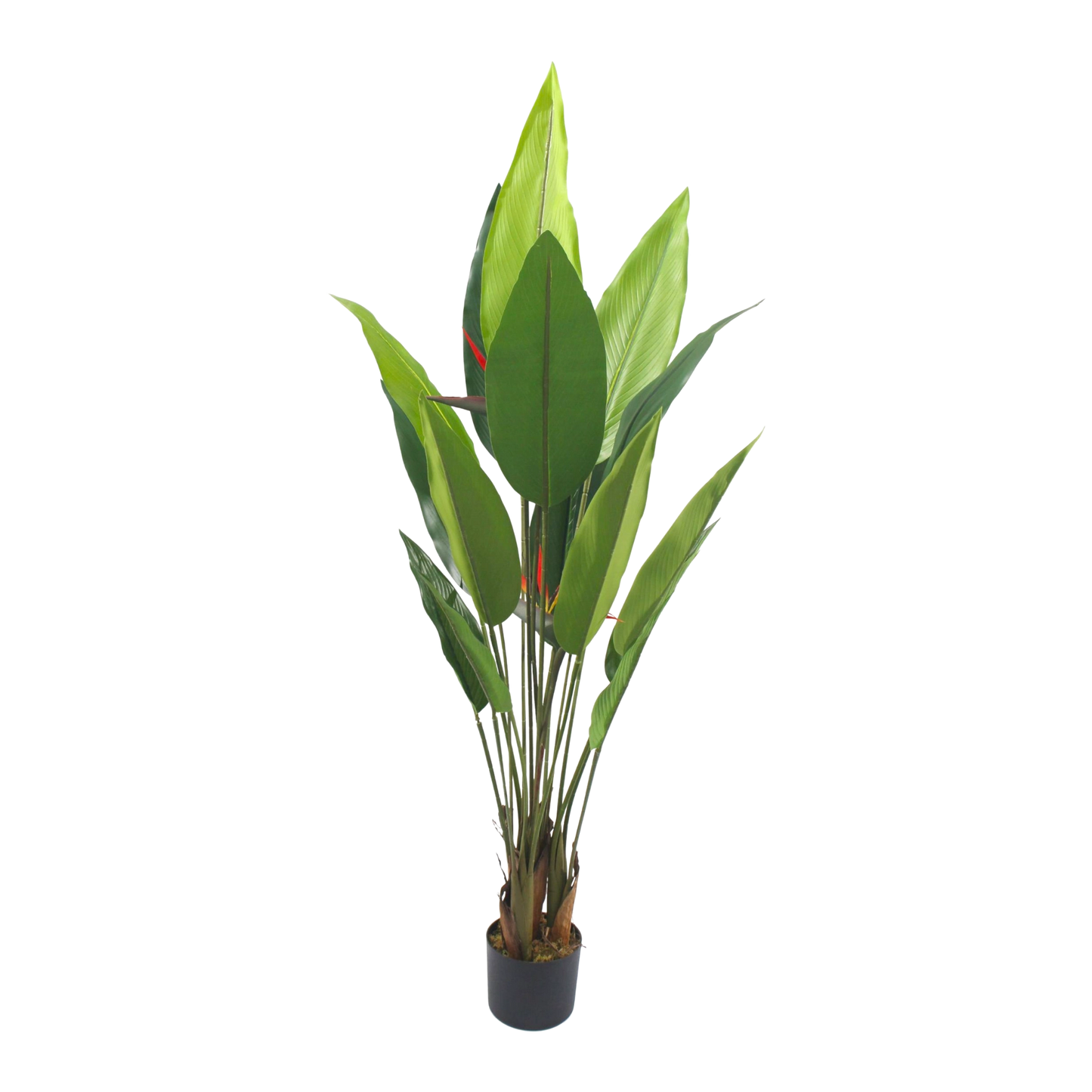 Artificial Bird of Paradise Plant – smal Tropical Green Leaves for Home & Office Décor 1.5m