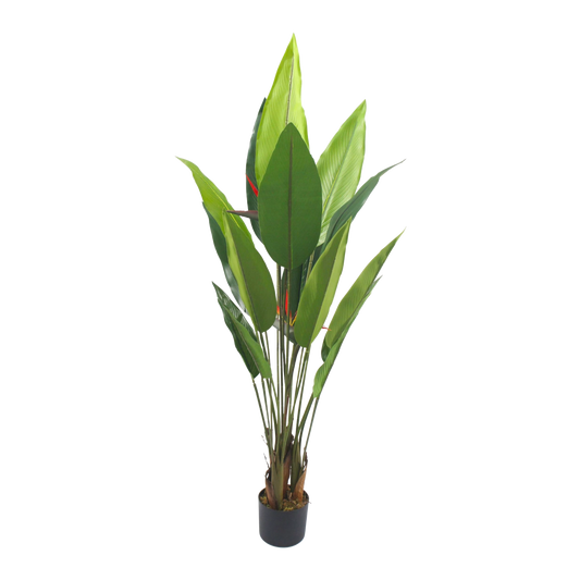 Artificial Bird of Paradise Plant – smal Tropical Green Leaves for Home & Office Décor 1.5m