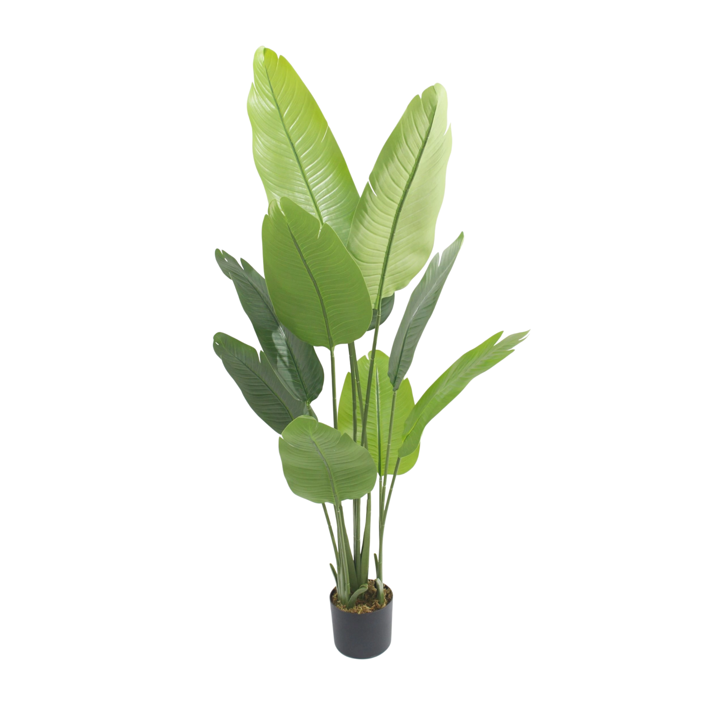 Artificial Bird of banana Plant – Large Tropical Decor 1.15m
