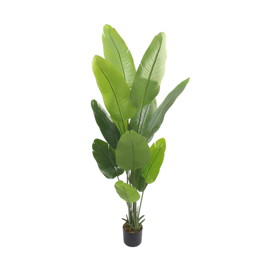 Artificial Bird of banana Plant – Tall Tropical Greenery 1.8m