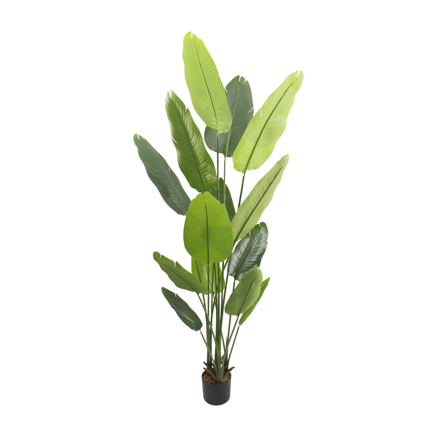 Artificial Bird of banana Plant – Tall Green Potted Décor 2m