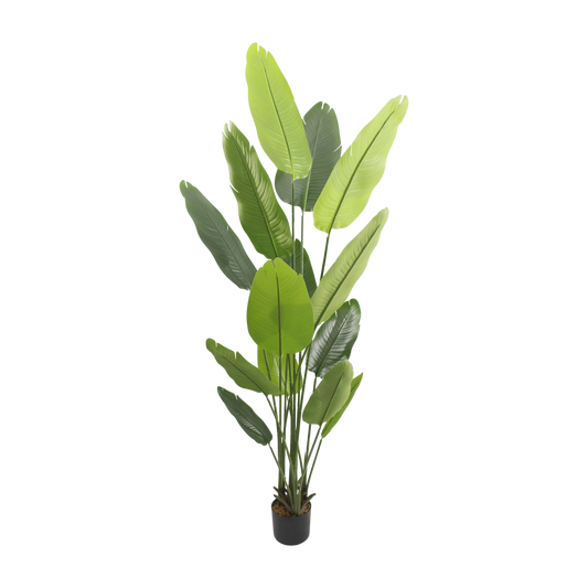 Artificial Bird of banana Plant – Tall Green Potted Décor 2m