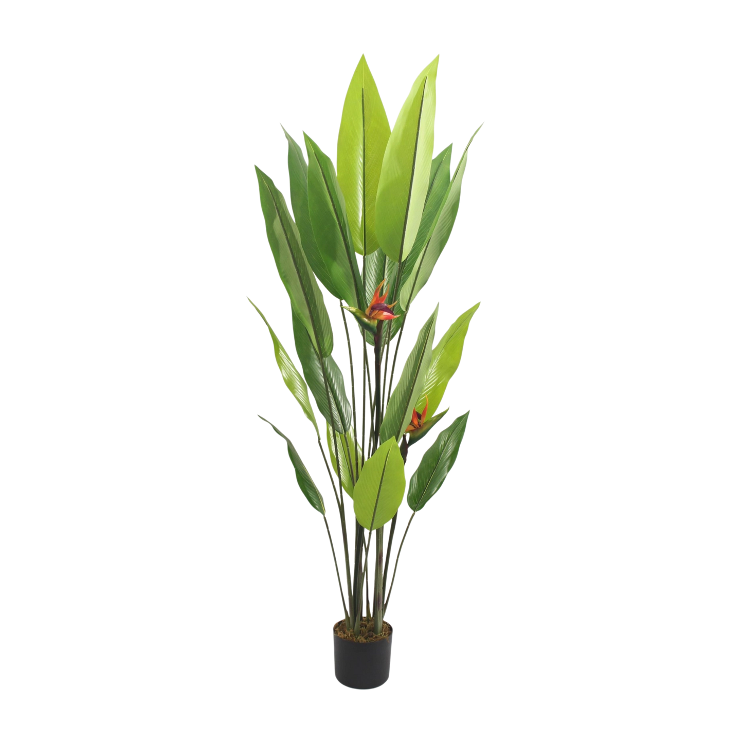 Artificial Bird of Paradise Plant – Potted Tropical Décor 1.7m
