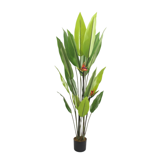 Artificial Bird of Paradise Plant – Potted Tropical Décor 1.7m