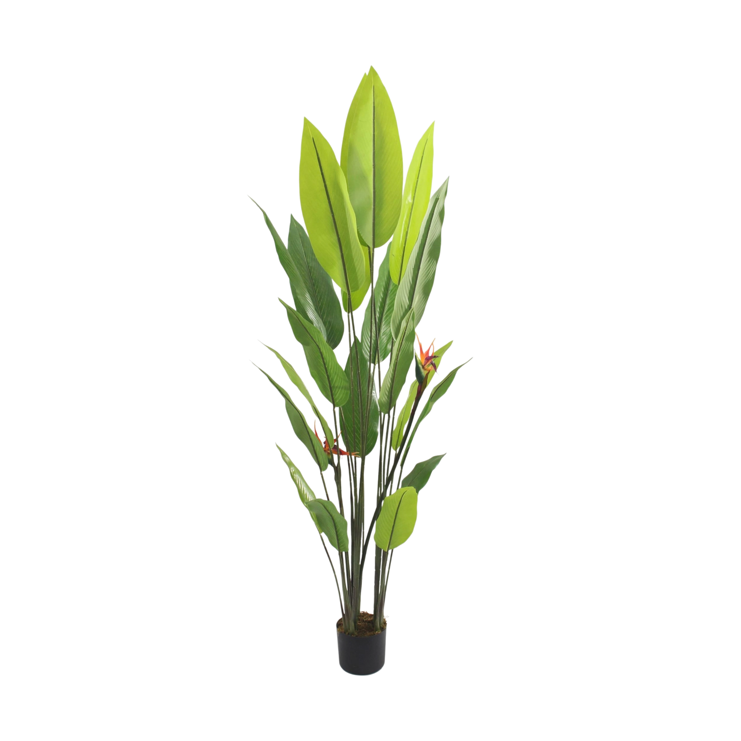 Artificial Bird of Paradise Plant – Tall Tropical Decor 1.9m