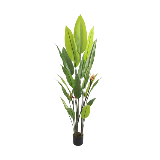 Artificial Bird of Paradise Plant – Tall Tropical Decor 1.9m
