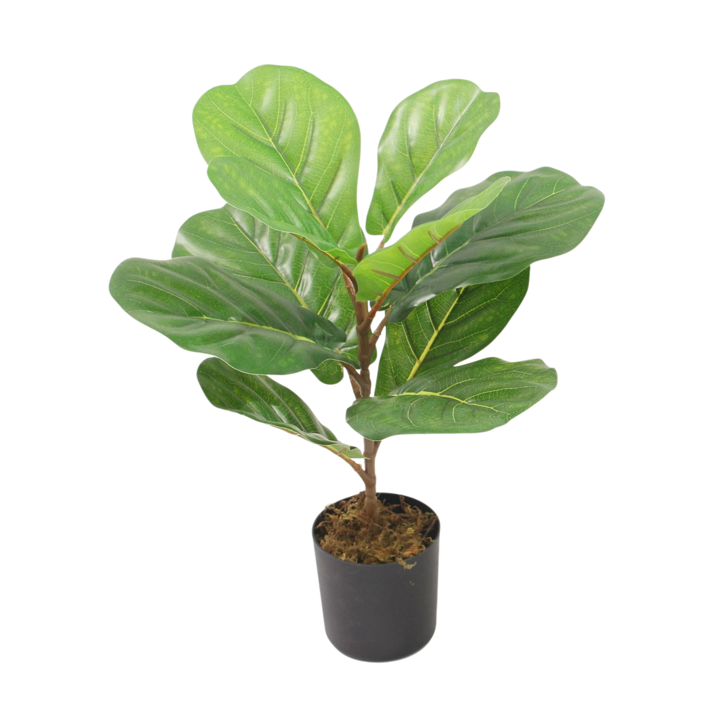 Artificial Fiddle Leaf Fig Plant – Small Decorative Tree