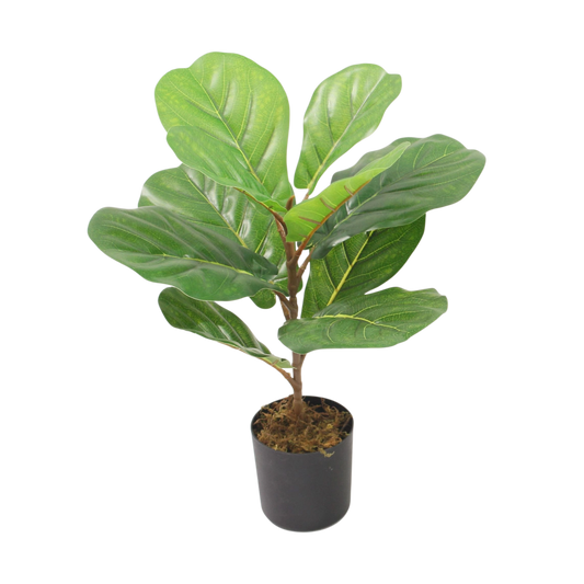 Artificial Fiddle Leaf Fig Plant – Small Decorative Tree
