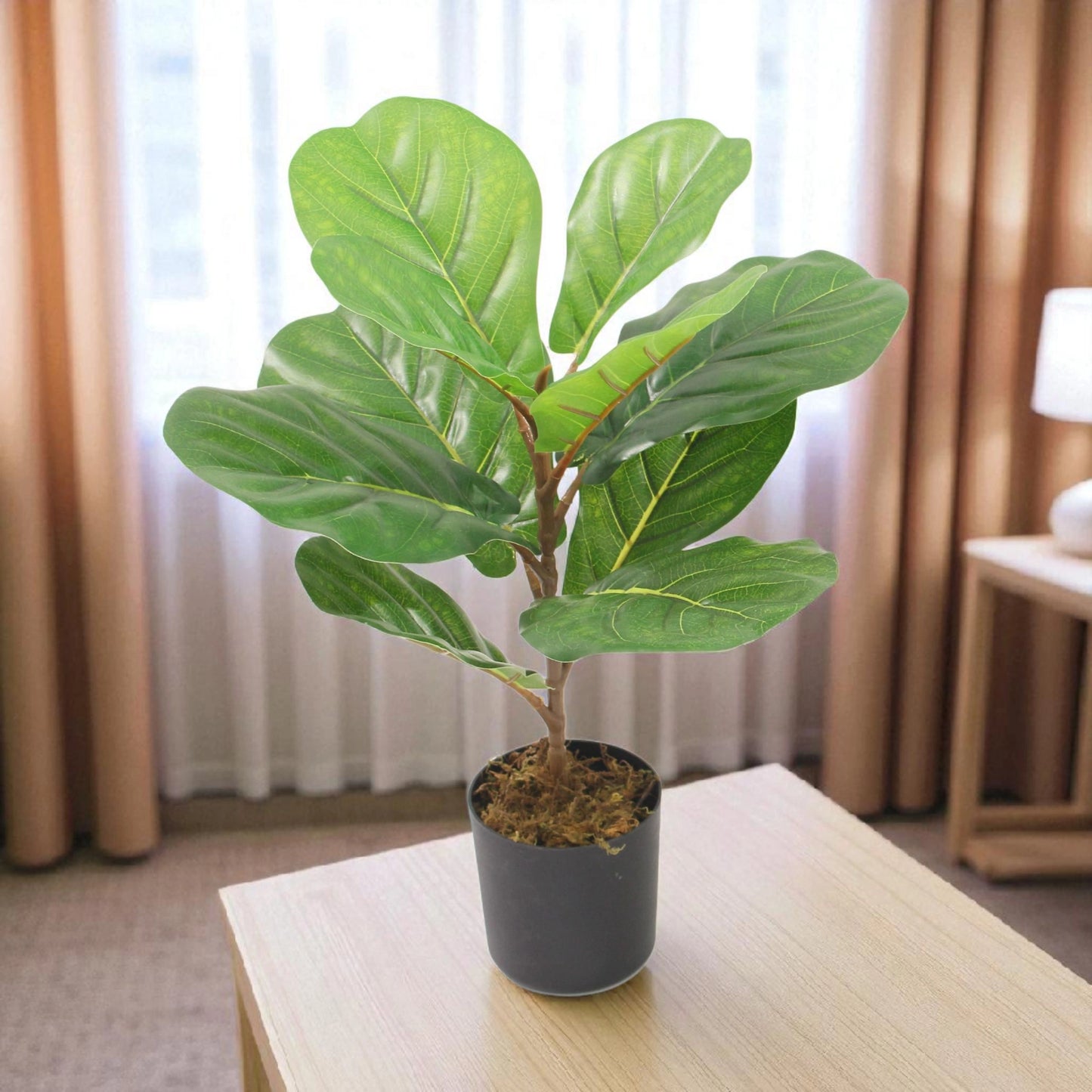 Artificial Fiddle Leaf Fig Plant – Small Decorative Tree