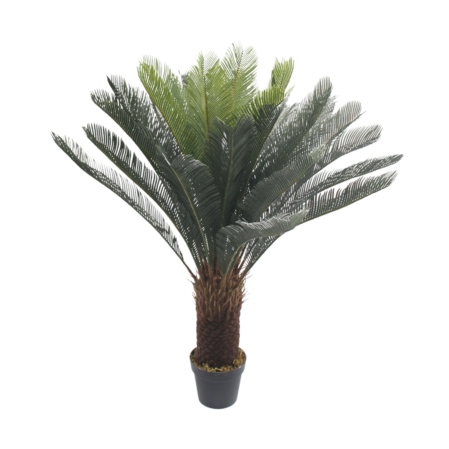 Artificial cycas Tree – Decorative Indoor Plant in Pot 1.2m