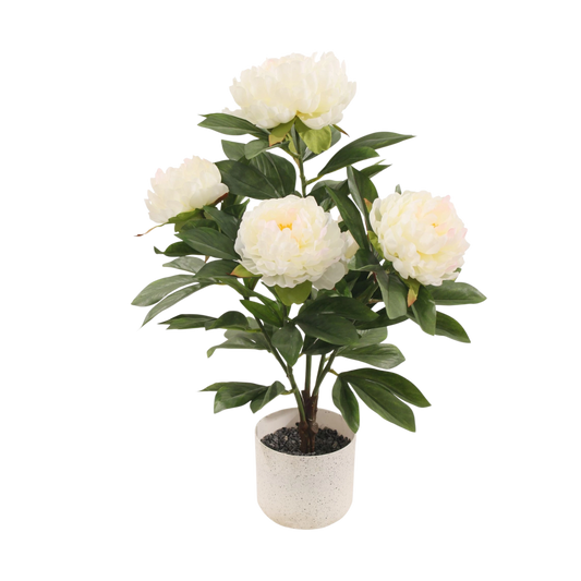 Artificial Peony Plant in Pot