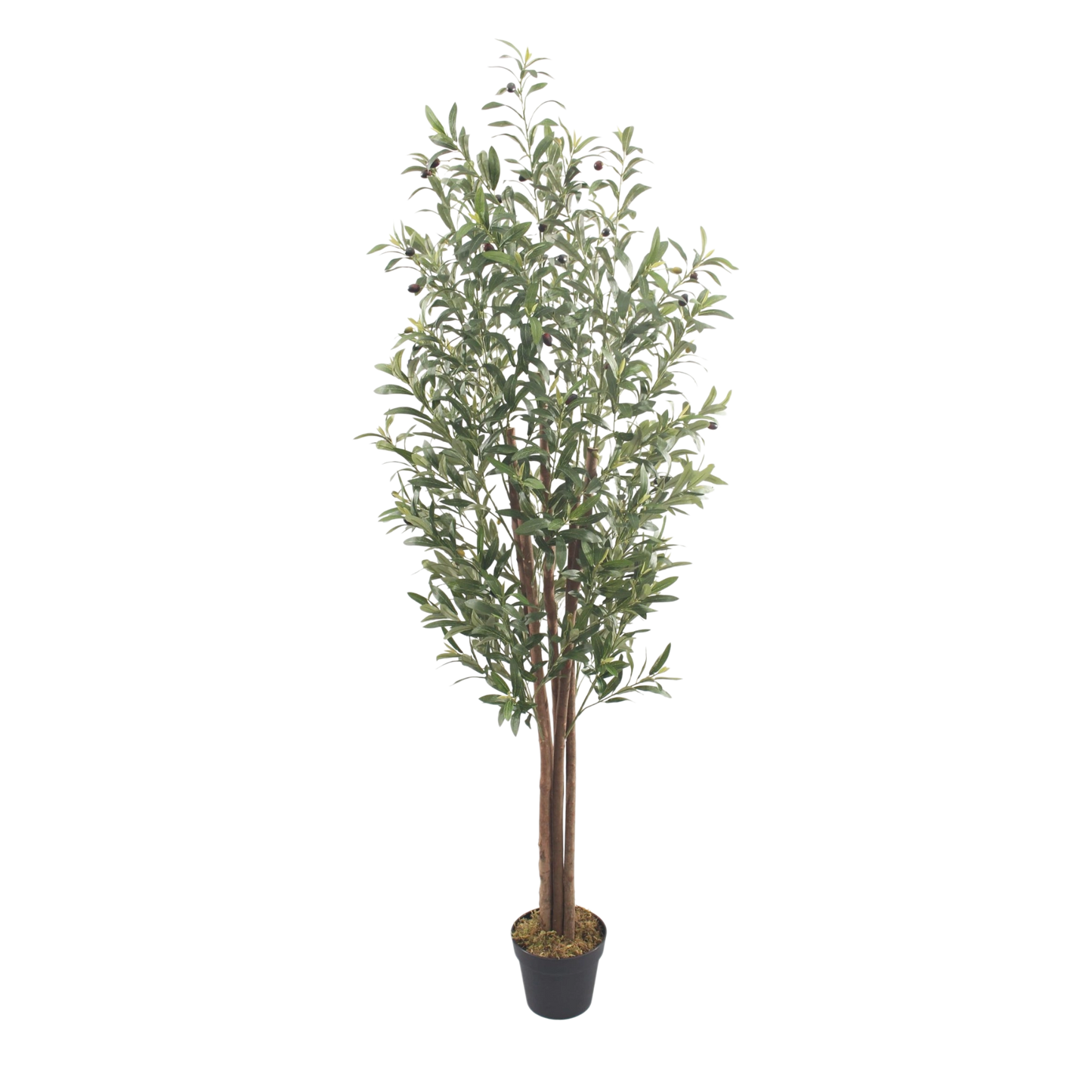 Artificial Olive Tree (Extra Tall) 1.8