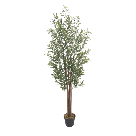 Artificial Olive Tree (Extra Tall) 1.8