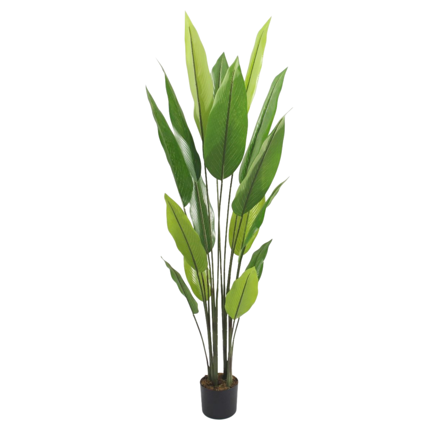 Artificial Bird of Paradise Plant in Pot – Tall Decorative Greenery 1.7m