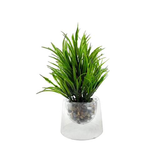 Artificial Grass Plant in Glass Pot – Pebble Base