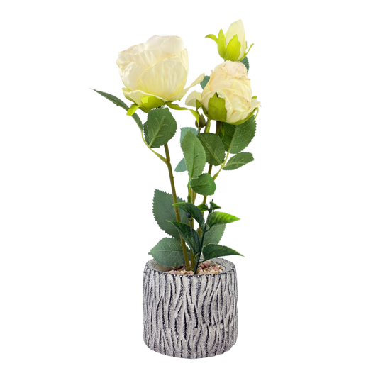 Artificial White  in Textured Ceramic Pot