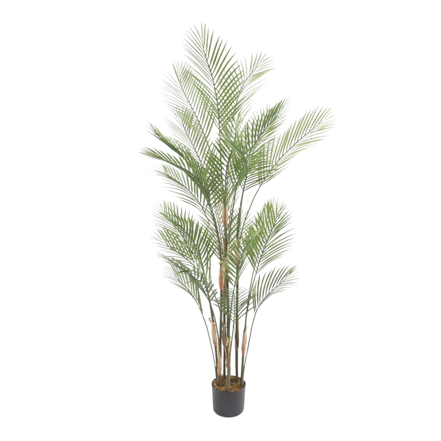 Artificial Areca Palm phoenix Tree – Tall Indoor Decorative Plant in Pot 1.8m