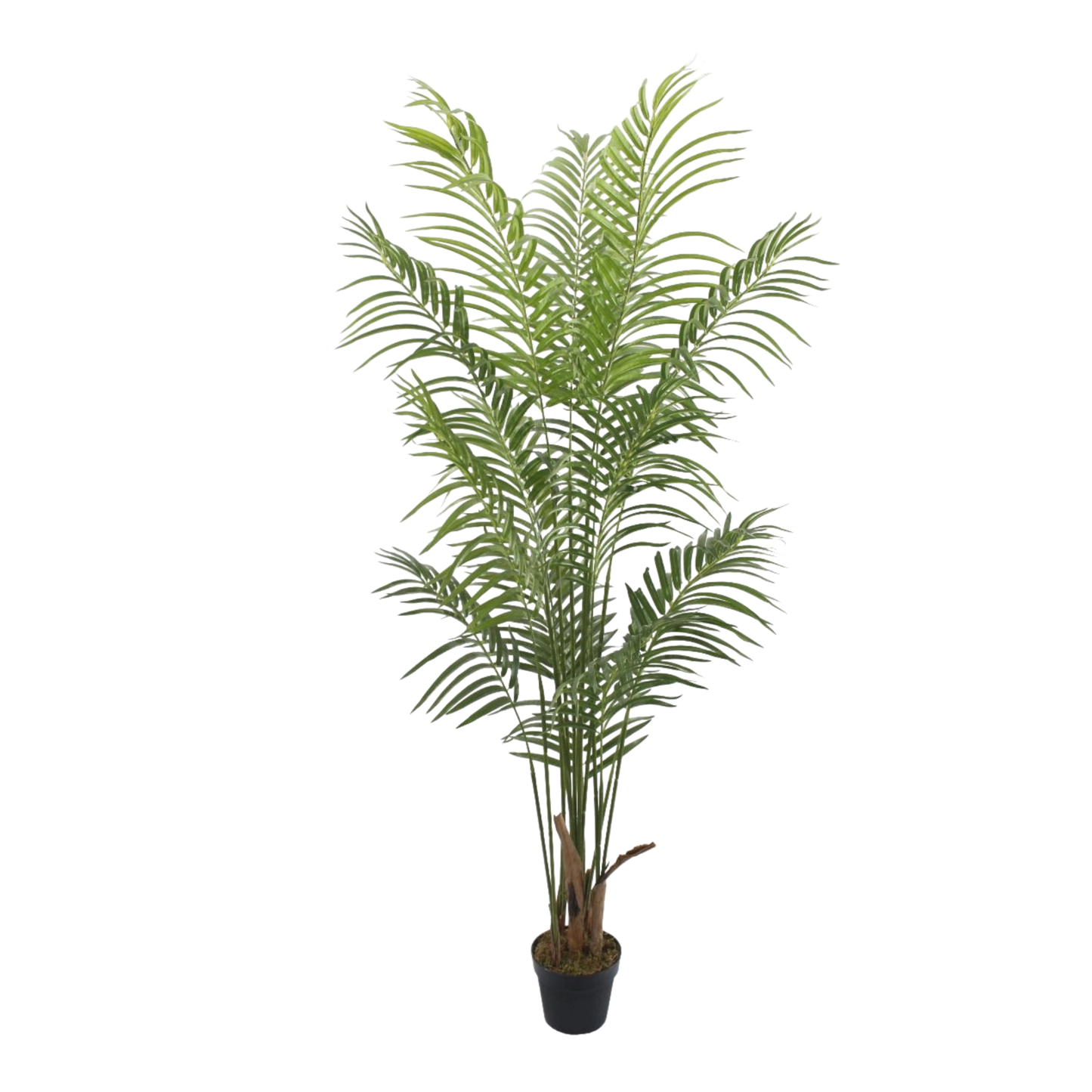 Artificial Areca Palm Tree – Tall Green Plant in Pot 1.8m