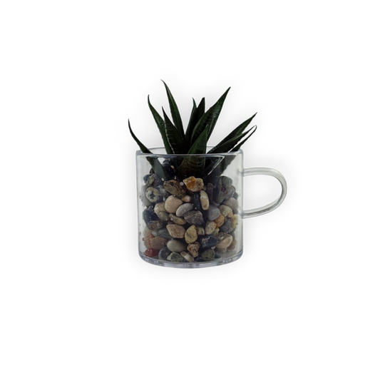 Mini Artificial Succulent in Glass Cup Pot – Faux Plant with Pebbles