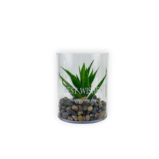 Artificial Aloe Plant in Glass Pot with Pebbles – Best Wishes Home Décor