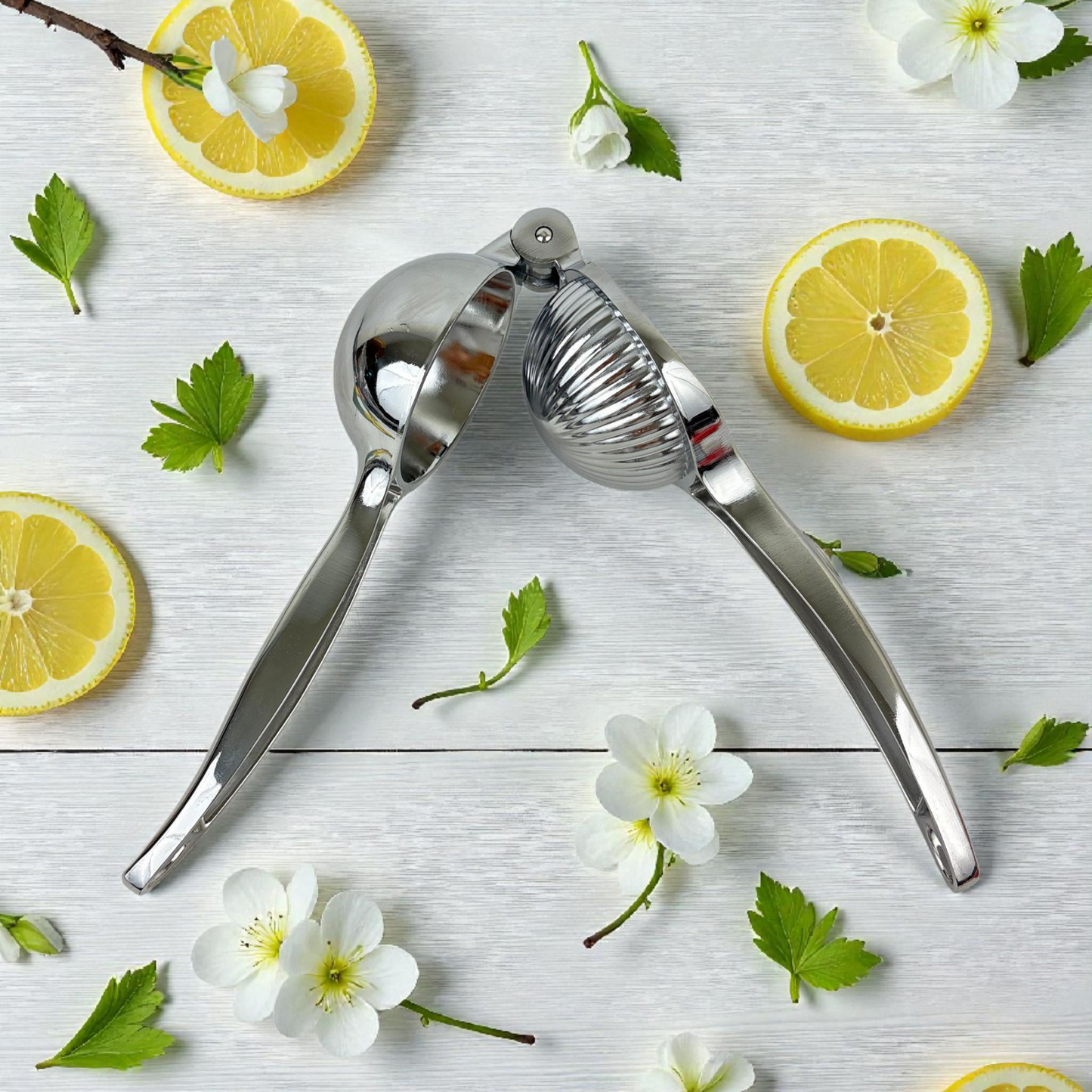 Heavy-Duty Metal Lemon Squeezer – Handheld Citrus Juicer Press