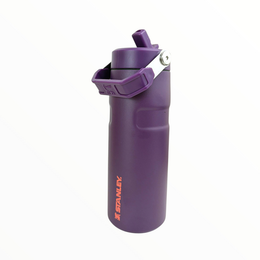 Stanley Style Purple Sports Water Bottle – 750ml Stainless Steel Insulated Flask with Flip Straw