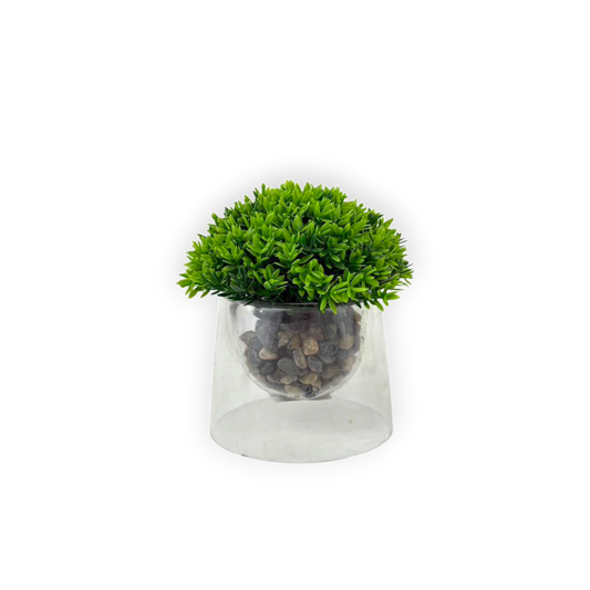 Artificial Green Shrub in Clear Glass Pot with Pebbles – Tabletop Décor