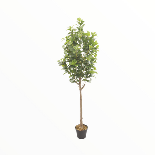 Artificial Indoor Floor Plant – Realistic Green Decorative Tree peperomia 180cm