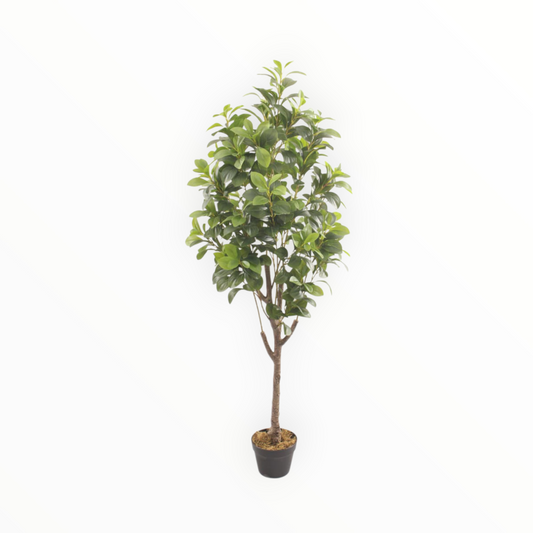 Artificial Ficus Tree – Realistic Indoor Decorative Floor Plant peperomai green 120cm