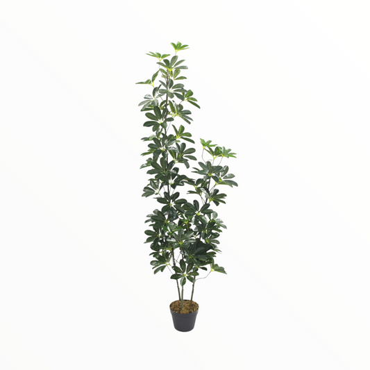 Artificial Indoor Floor Plant – Realistic Green Decorative  Tree schefflera 160cm